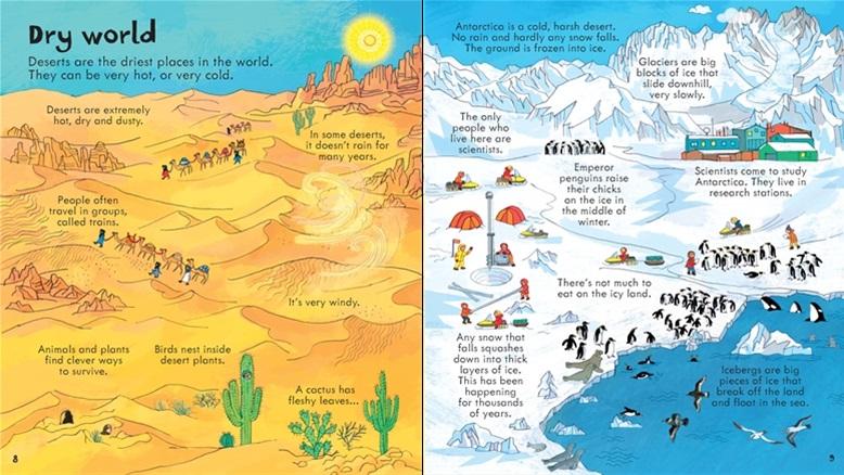 Usborne Look Inside: Our World - Interactive Lift-the-Flap Children's Book About Planet Earth | Perfect for Homeschooling & Classroom Learning