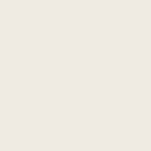 Vanilla White（A little yellowish than white）