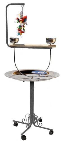 Premium Metal Bird Playstand for African Grey & Conure - Durable Parrot Toy Cage & Gym for Playtime, Exercise & Training | Perfect for Home, Office & Aviary Use