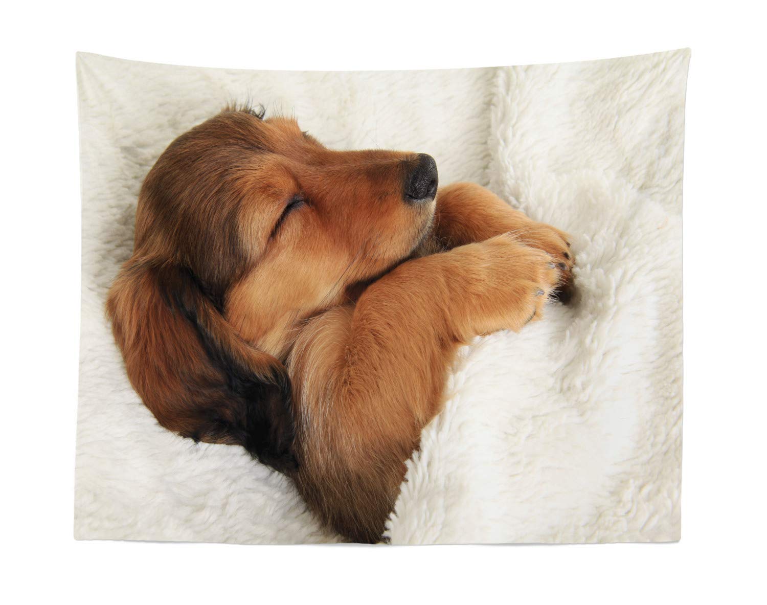 Ambesonne Dachshund Tapestry Wall Art - Cute Puppy Sleeping in Dog Bed Fabric Wall Hanging Decor for Bedroom, Living Room, Dorm - 28x23 Inches Ivory Cinnamon - Perfect for Pet Lovers & Cozy Home Decor