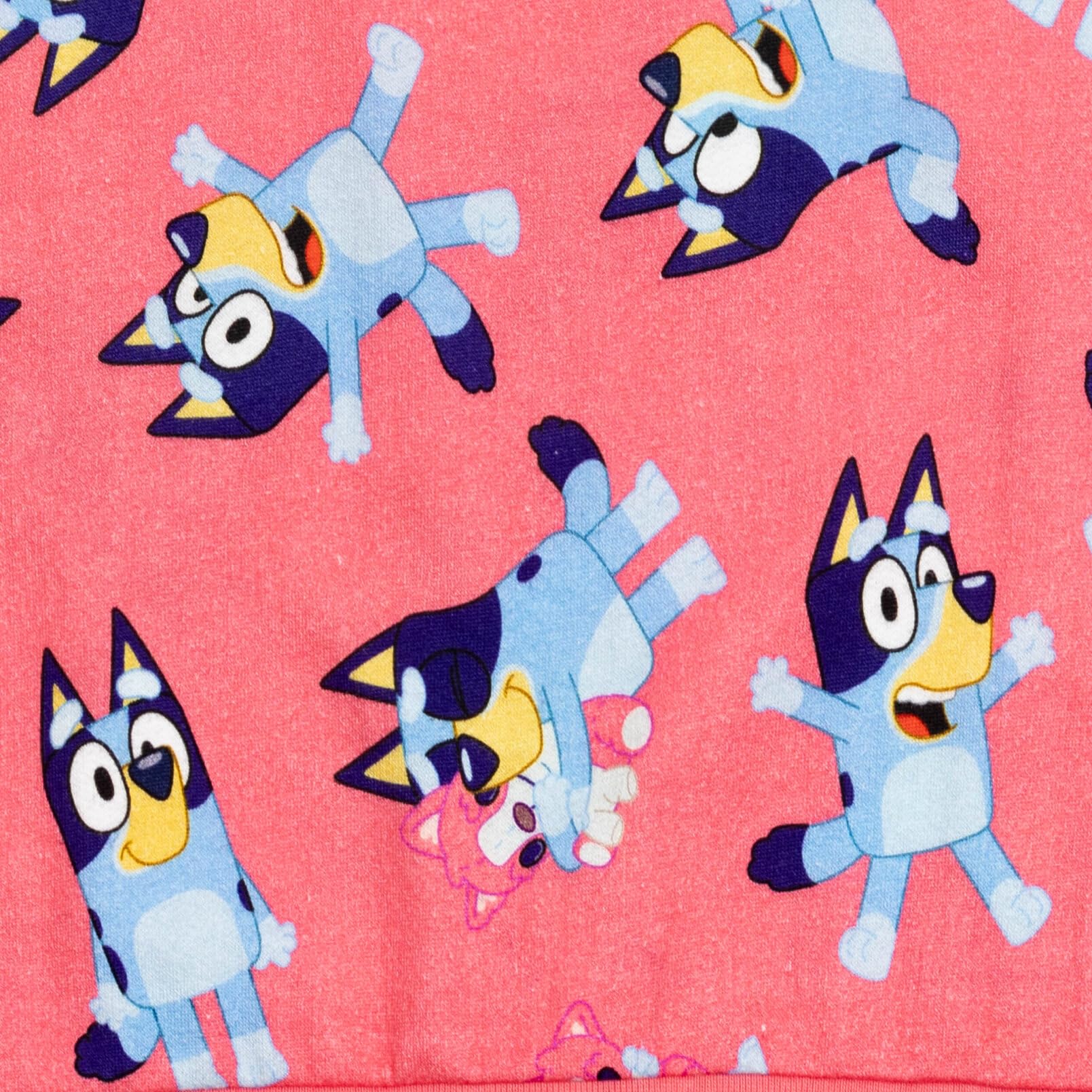 Bluey Bingo Cartoon Character Sweatshirt for Kids - Soft Cotton Pullover for Infants to Big Kids (2T-10Y) - Perfect for Playdates, Family Outings & Birthday Gifts