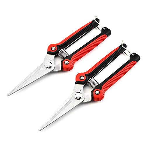 Stainless Steel Garden Pruning Shears - Professional Gardening Scissors for Trimming Trees, Flowers & Branches | Heavy Duty Plant Trimmer Tool for Home Gardeners & Landscaping Use