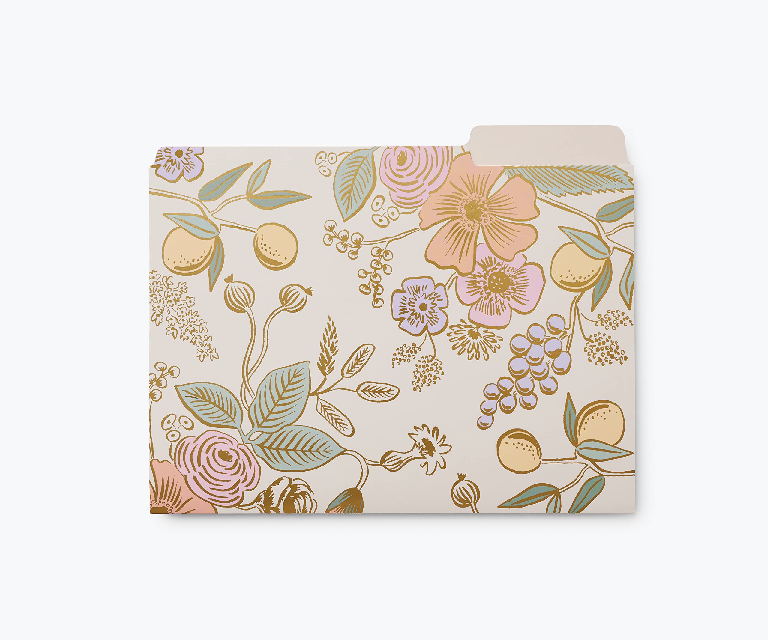 RIFLE PAPER CO. Colette File Folder Set - 6 Pack Sturdy Folders, 2 of Each Design with 12 Adhesive Labels, Elegant Gold-Outlined Pattern (9.25