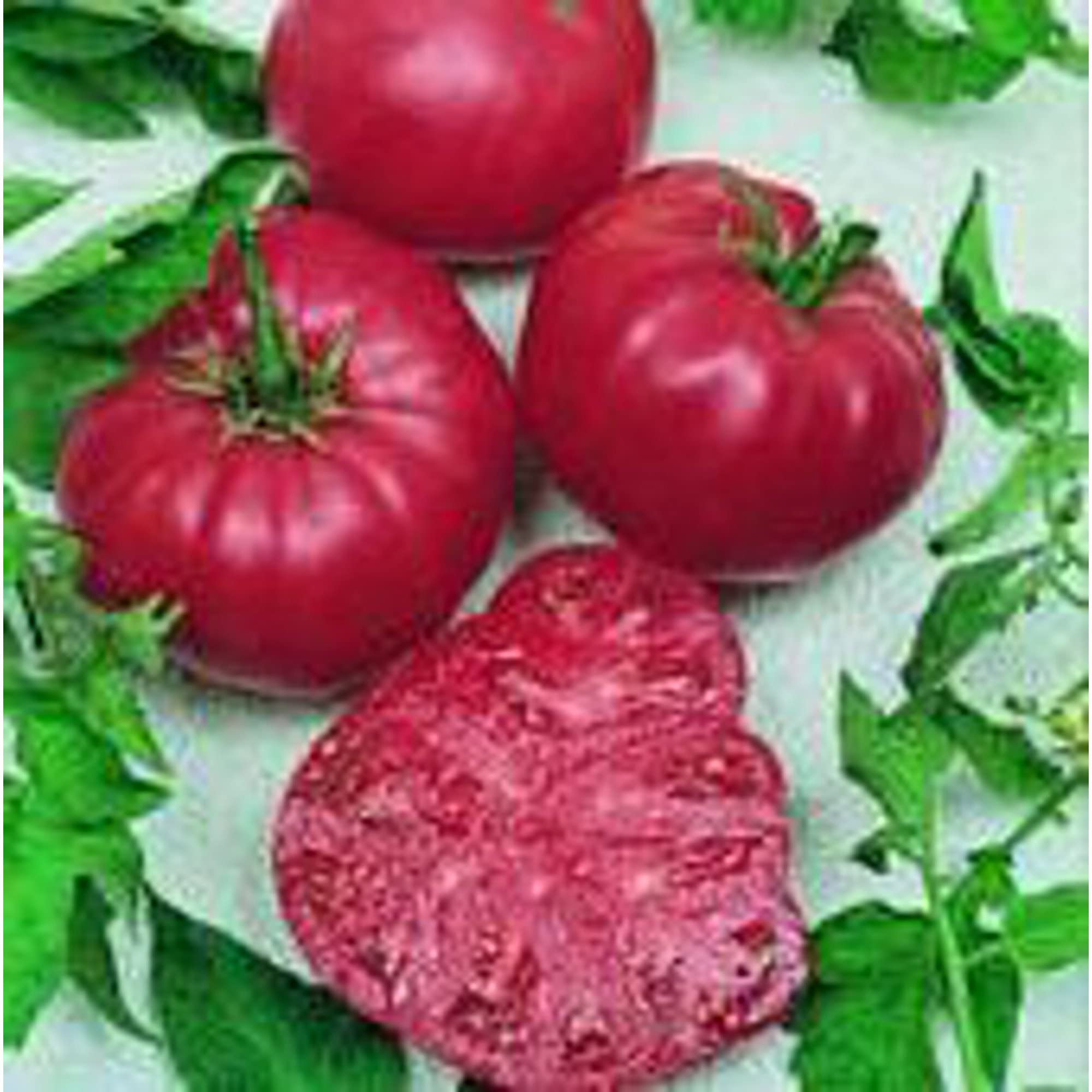 Organic Watermelon Beefsteak Tomato Seeds (20+ Seeds) - Non-GMO Heirloom Variety for Home Garden, Greenhouse & Container Planting | Fresh Salad & Canning Tomatoes | Perfect for Salsa, Sandwiches & Summer Recipes