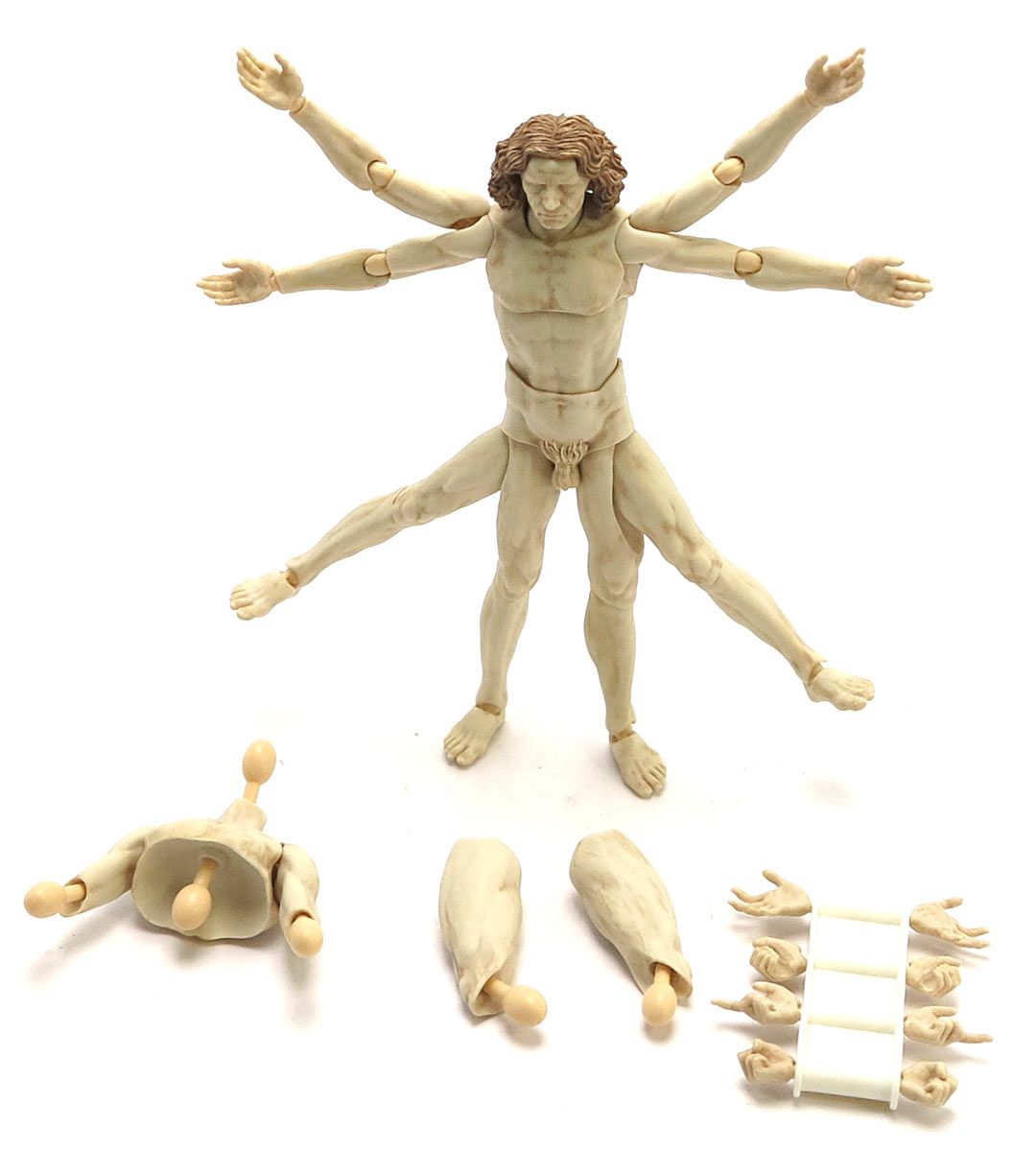 Figma Vitruvian Man Statue - Table Museum Collection - Perfect for Home Office Decor & Art Lovers