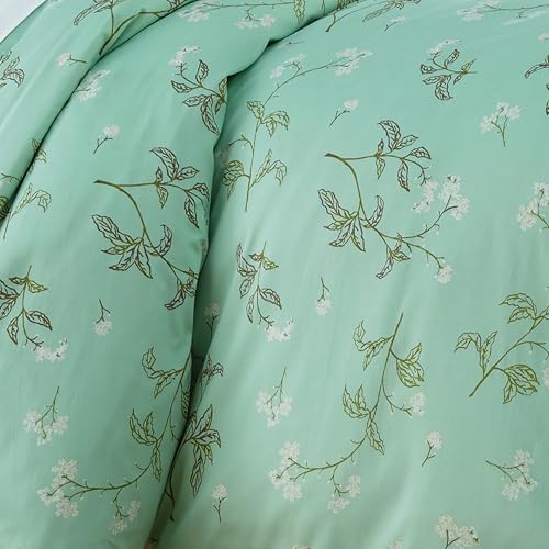 27 - Myosotis Green
