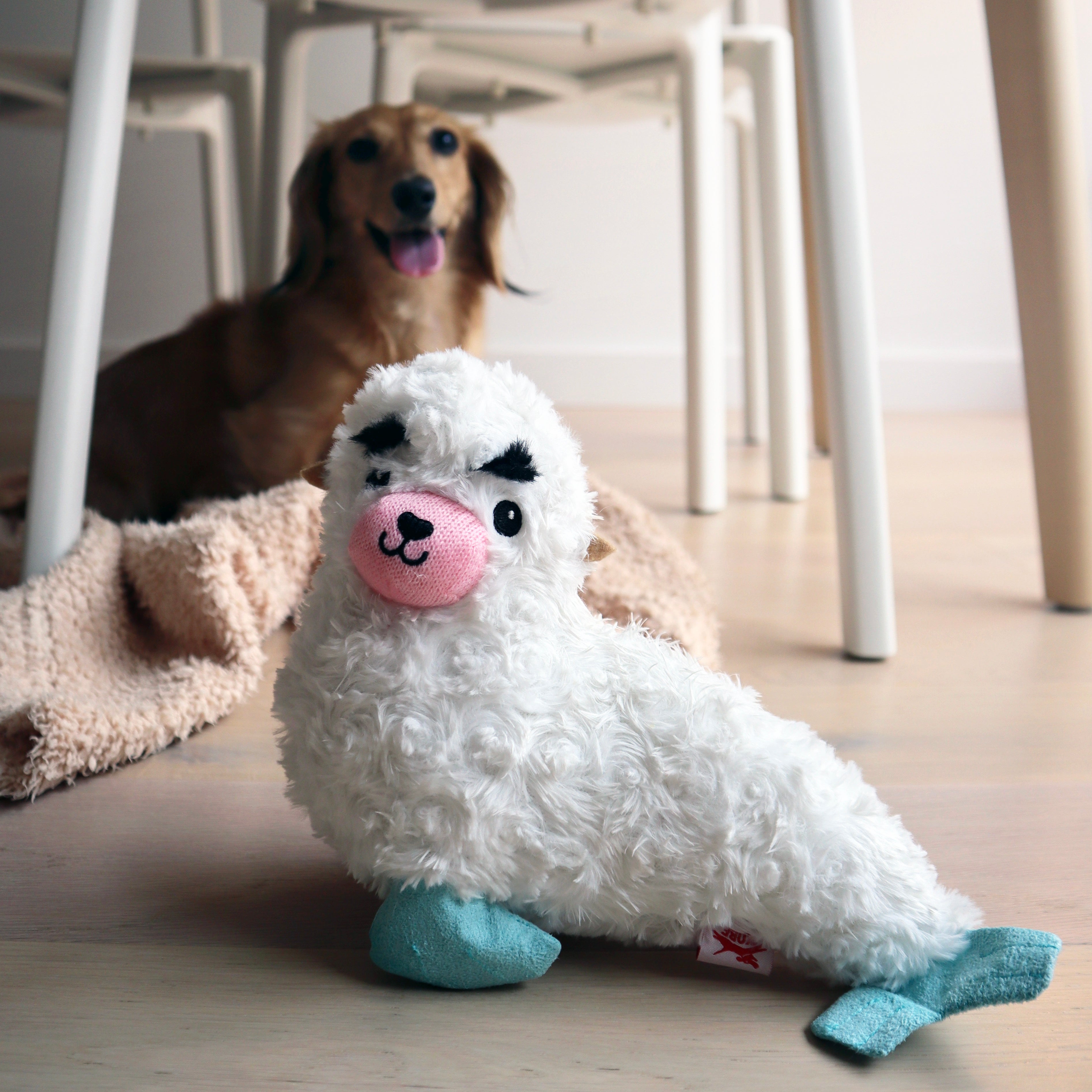 Durable Kobe Seal Plush Dog Toy for Chewing & Play - Soft & Safe Pet Chew Toy for Puppies & Small Dogs - Perfect for Indoor Playtime & Training Rewards