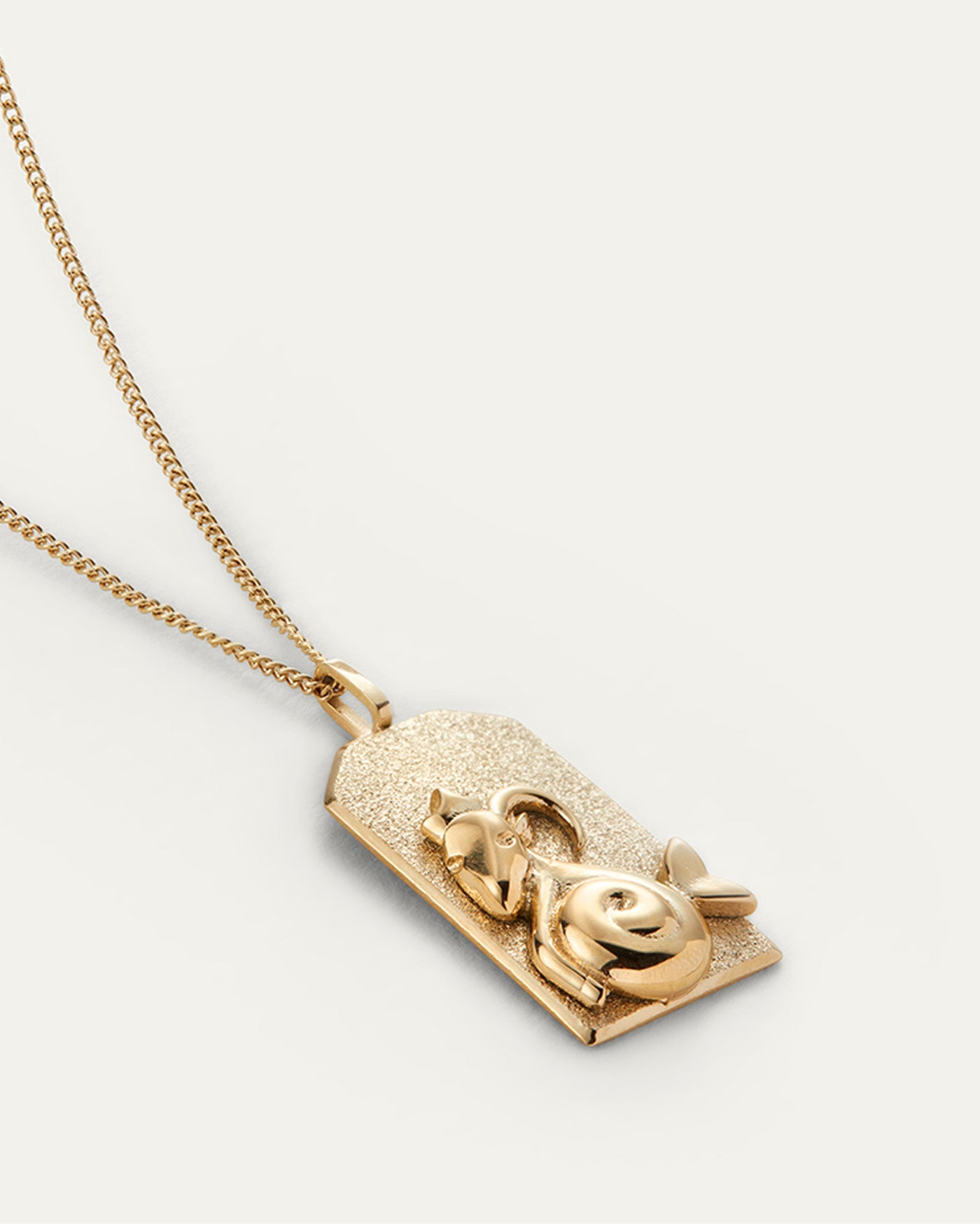 Capricorn Zodiac Pendant Necklace - Sterling Silver Horoscope Jewelry for Women - Perfect Birthday Gift & Daily Wear