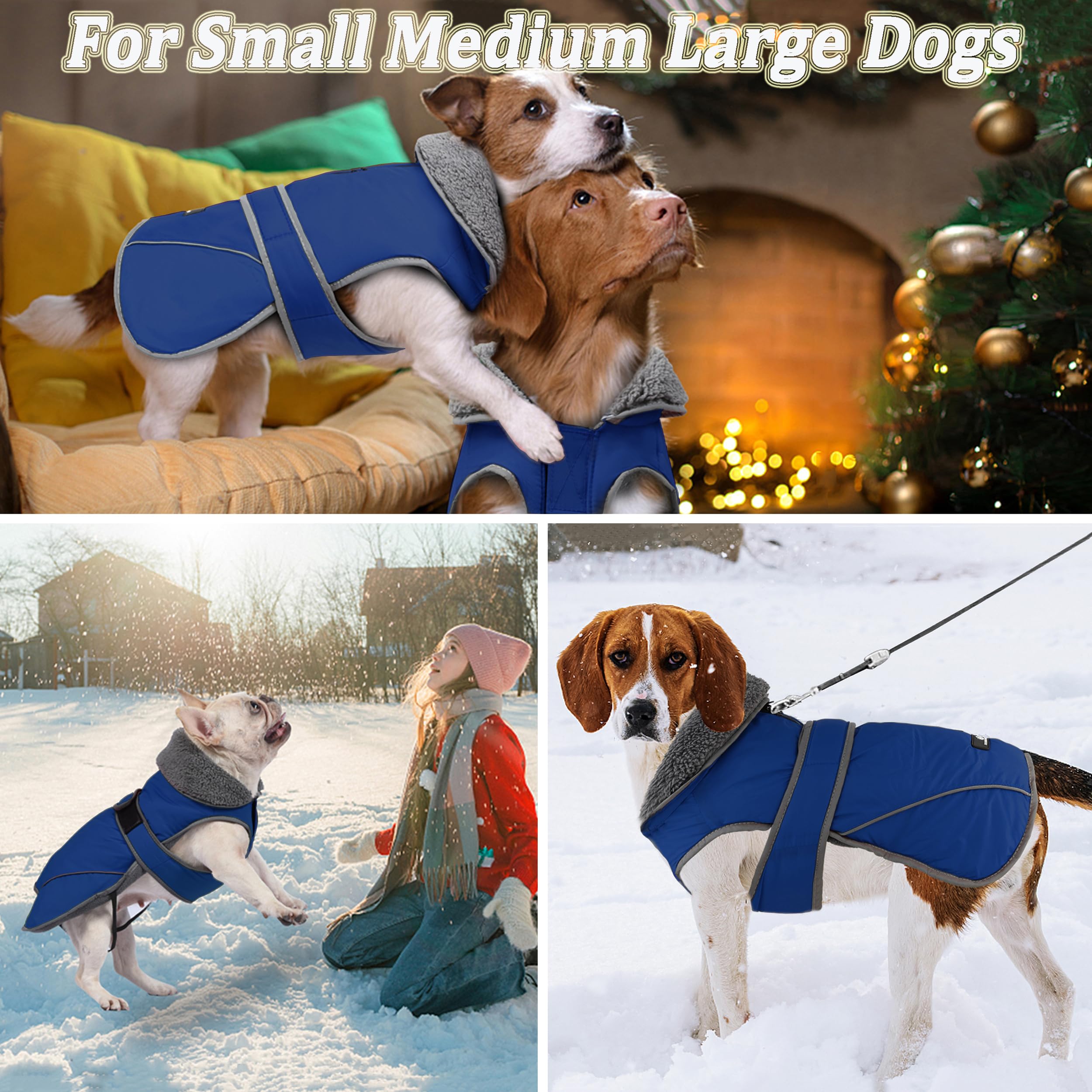 Dogcheer Waterproof & Reflective Winter Dog Jacket - Warm Fleece Coat with Turtleneck & Leash Hole for Small Medium Large Dogs | Cozy Snowsuit for Cold Weather, Outdoor Walks & Winter Adventures - Blue, Size L