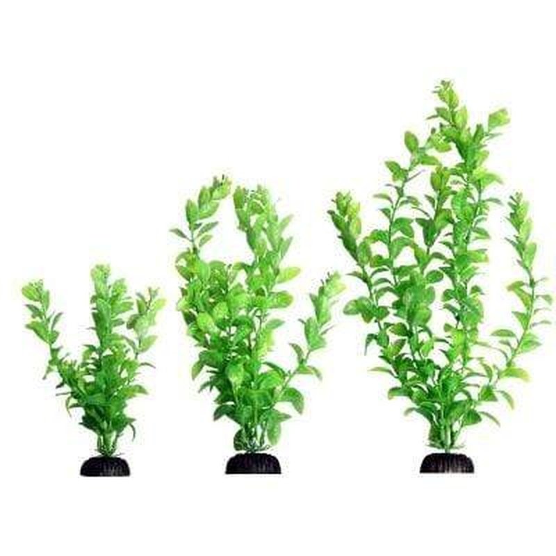 Aqua One Ecoscape Green Poly Hygro - Premium Artificial Aquarium Plants for Fish Tanks - Perfect for Freshwater & Saltwater Aquariums, Terrariums, and Home Decor