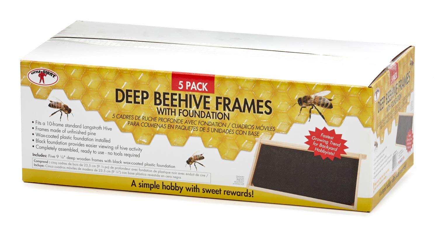 Little Giant Deep Hive Frame - 5-Pack Black Beehive Frames for Honeybees | Durable Beekeeping Supplies (DFRBLACK) | Perfect for Honey Extraction & Hive Maintenance