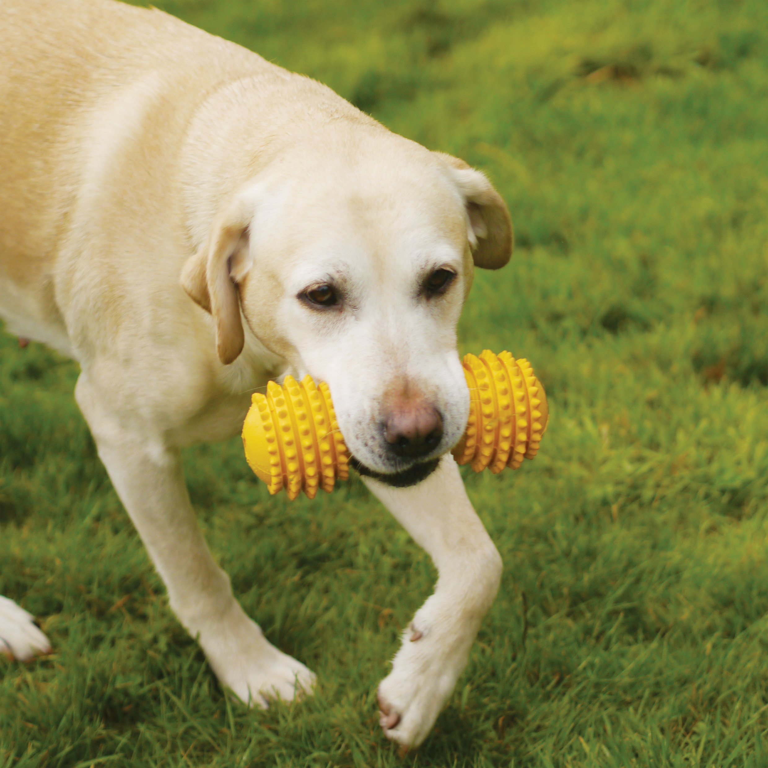Durable Cyber Rubber Dumbbell Dog Toy for Large Breeds - Perfect for Fetch, Chewing & Training