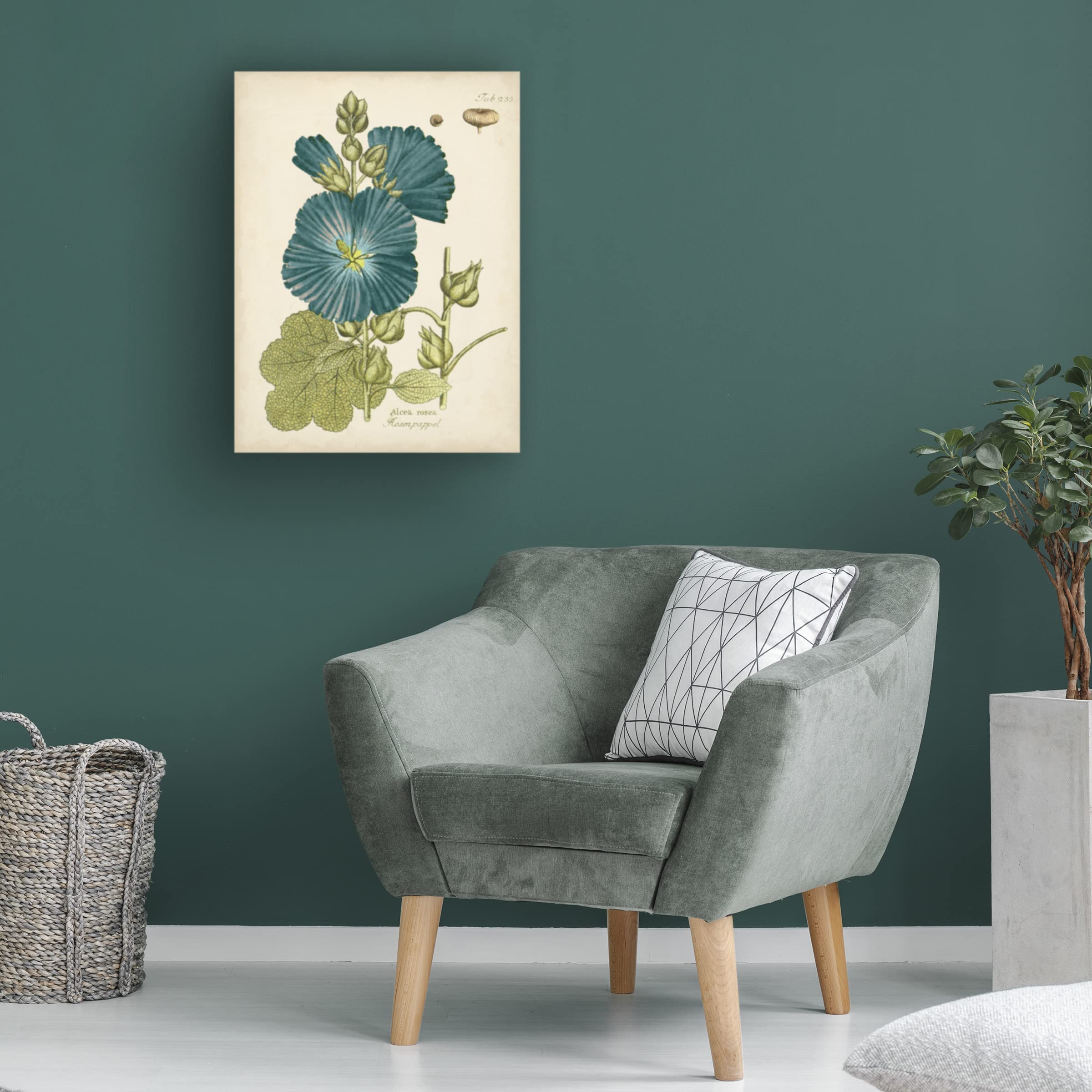 Trademark Fine Art 'Eloquent Botanical IV' Canvas Wall Art by Vision Studio - Perfect for Living Room, Bedroom & Office Decor