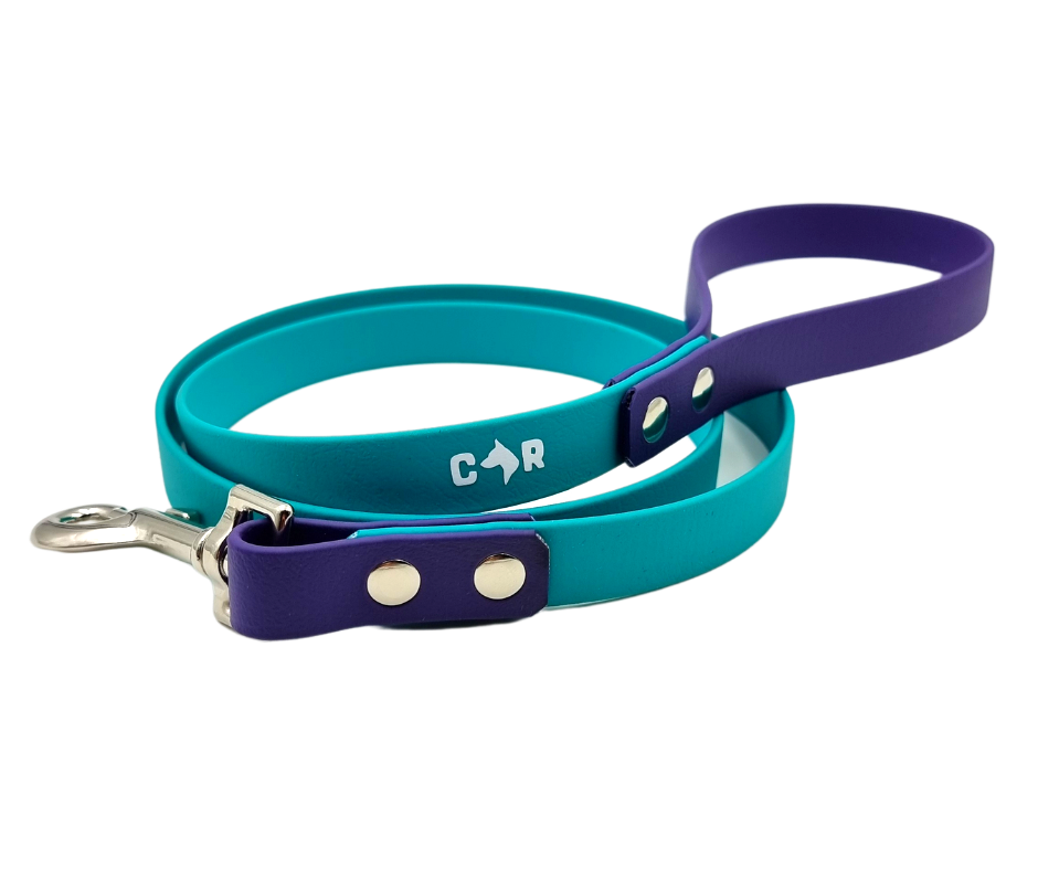 Premium Biothane Dog Leash with Comfortable Collar & Ruff - 120cm Strong & Durable for Walking, Training & Outdoor Adventures