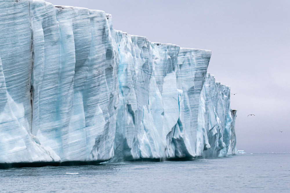 Leica Photo Adventure: Svalbard Expedition - July 11-20, 2026 | Professional Wildlife & Landscape Photography Tour in Arctic Norway