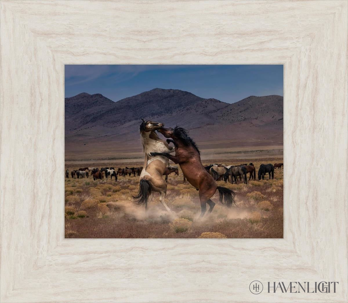 Desert Duel Board Game by Greg Sargent - Strategy War Game for Adults & Teens - Perfect for Game Nights, Parties & Family Gatherings