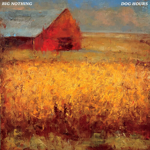 Big Nothing - Dog Hours (Blue Vinyl) | Limited Edition Indie Rock Record | Perfect for Vinyl Collectors & Music Lovers