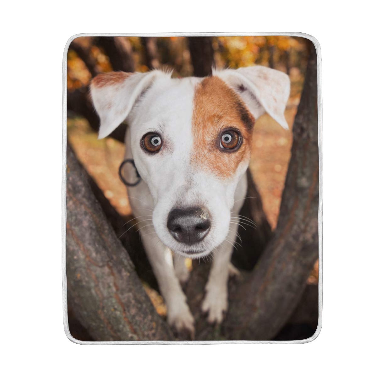Parsons Jack Russell Terrier Dog Blanket - Soft Polyester Microfiber Pet Throw - 50x60 Inch Lightweight Couch & Bed Blanket for Dogs - Perfect for Sofa Lounging, Pet Napping & Home Decor