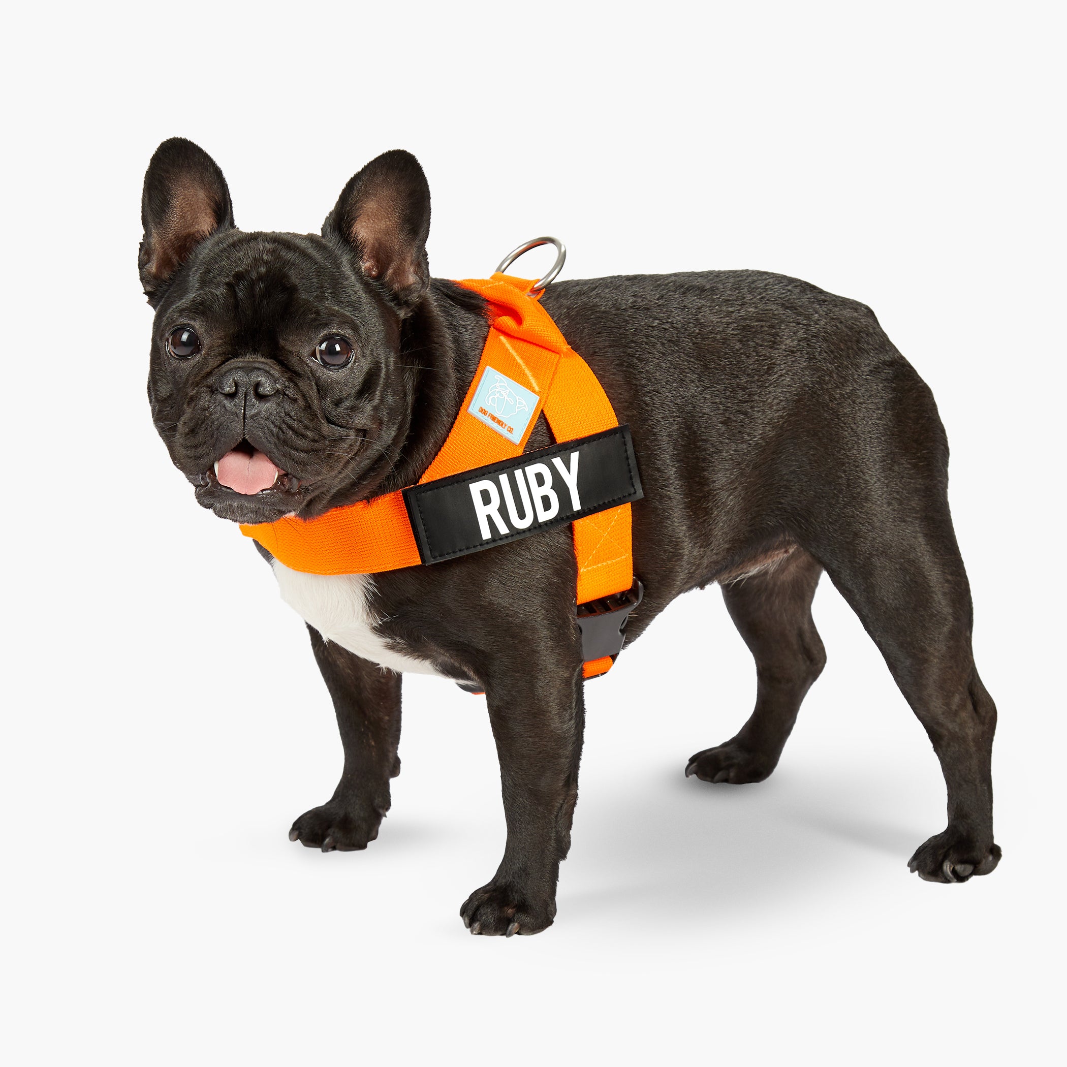 Dog Friendly Co. High Visibility Orange Dog Harness - Reflective & Adjustable for Safety - Perfect for Night Walks, Hiking & Outdoor Adventures