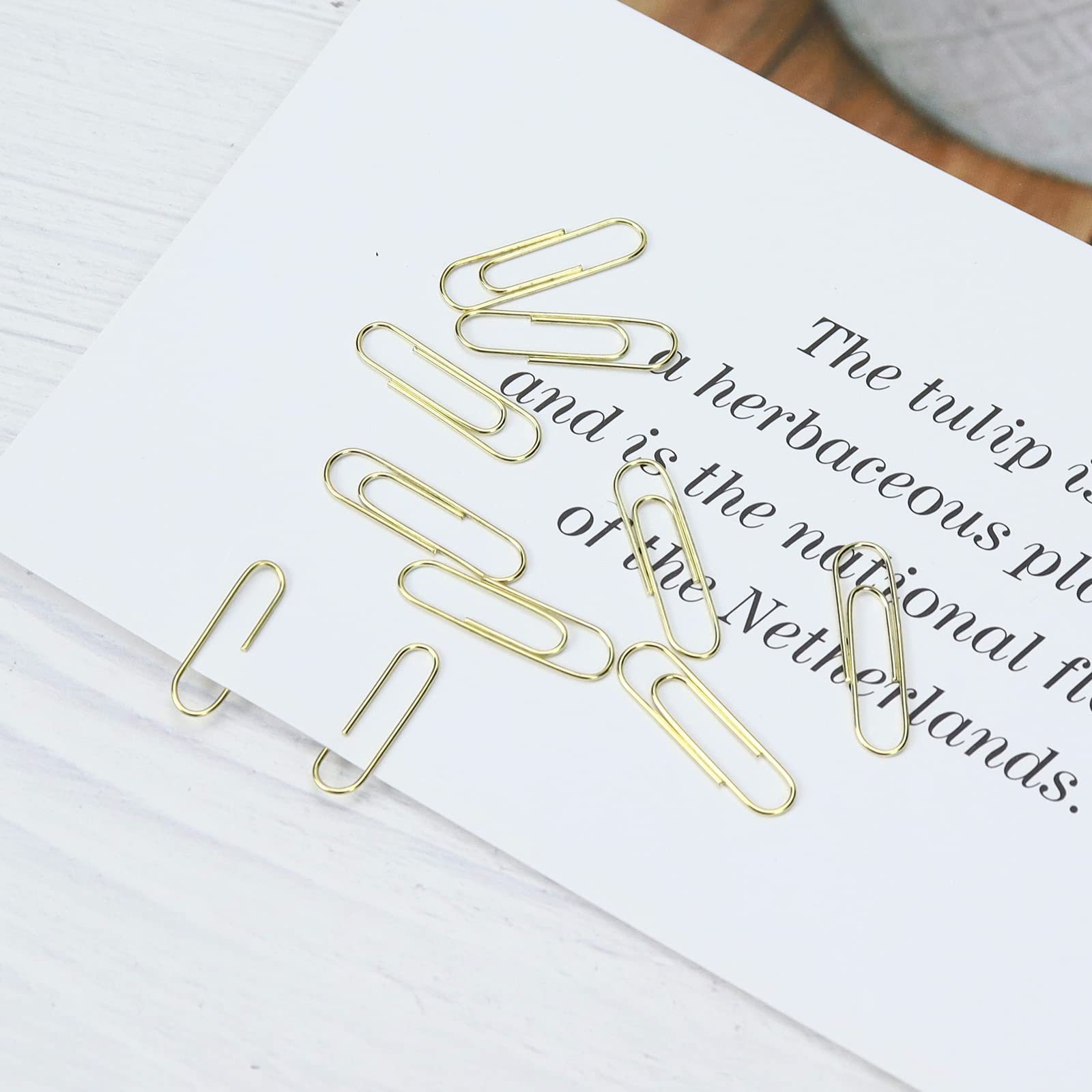 Magnetic Gold Paper Clips Holder - 1 Inch Modern Desk Organizer (100Pcs, 28mm) - Office, Home & School Stationery Supplies for Documents, Notes & Bulletin Boards