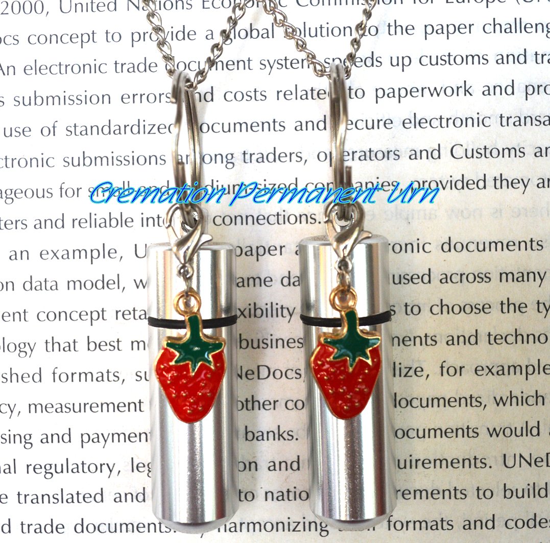 Strawberry Cremation Urn Necklace - Memorial Jewelry for Ashes, Sympathy Gift, Keepsake Pendant for Loved Ones | Perfect for Funerals, Memorial Services & Keeping Memories Close