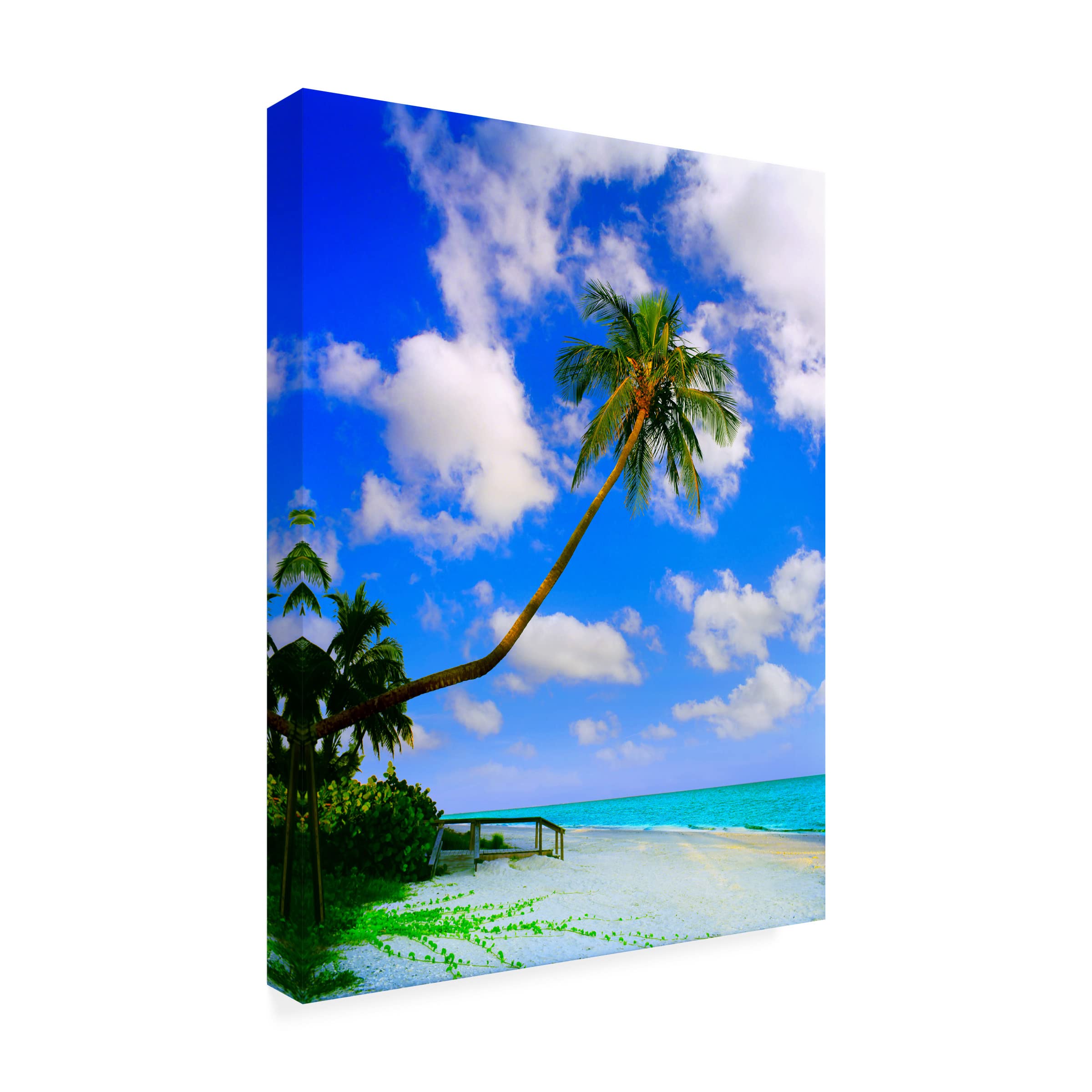 Jack Reed 'Sanibel Island' Canvas Wall Art Print - Coastal Beach Landscape Painting for Living Room, Bedroom & Office Decor | Trademark Fine Art Collection