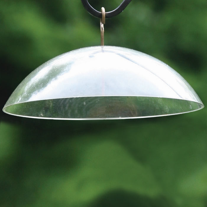 Clear Weather Dome - Transparent Protective Cover for Outdoor Plants, Garden Decor, and Display Cases | Perfect for Greenhouses, Patios, and Indoor Plant Protection