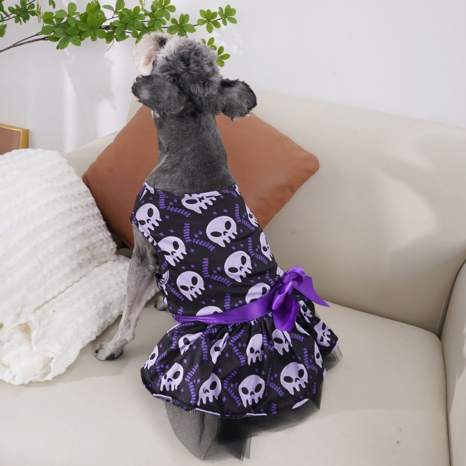 Halloween Dog Costumes for Pets - Cute & Fun Outfits for Halloween Parties & Pet Events