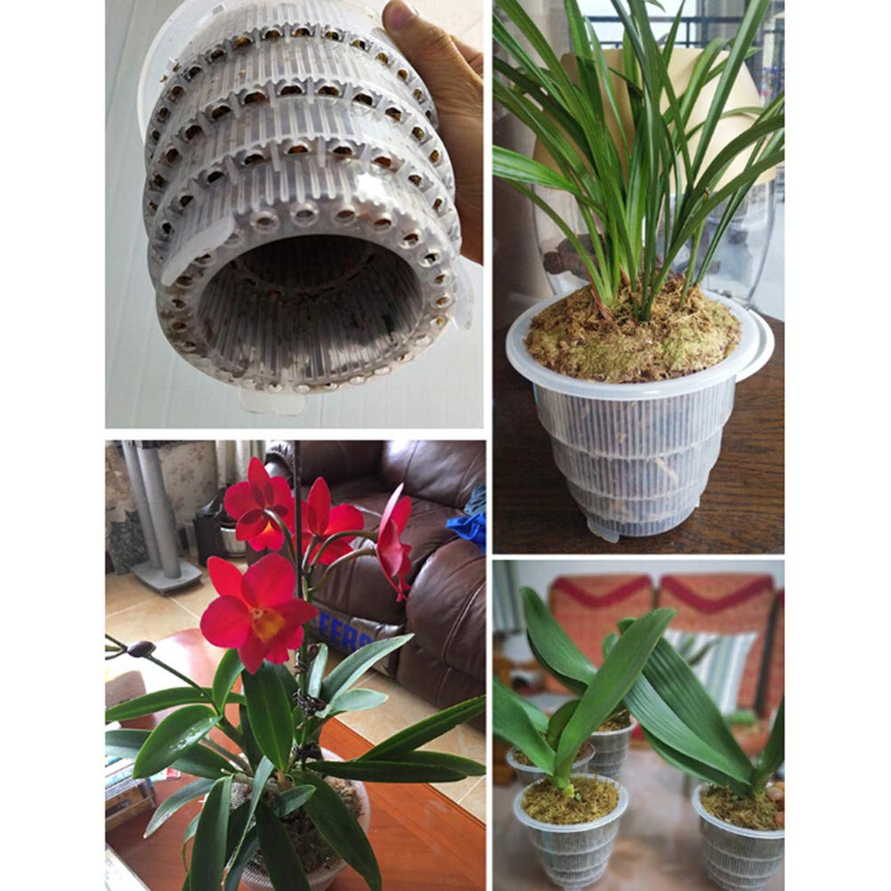 Breathable Root Control Pot with Tray - 10cm Transparent Flower Planter Basket for Succulents, Orchids & Indoor Plants | Perfect for Home Decor, Gardening & Hydroponics