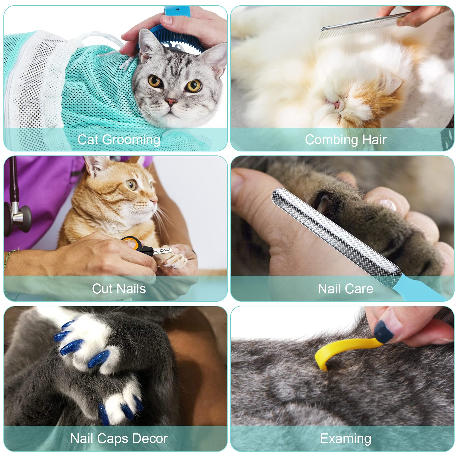 8-Piece Cat & Dog Grooming Kit - Adjustable Pet Shower Net Bag, Bath Brush, Nail Clippers, Nail File, Hair Combs, Tick Tool & Nail Caps - Essential Pet Bathing & Grooming Supplies for Home Use