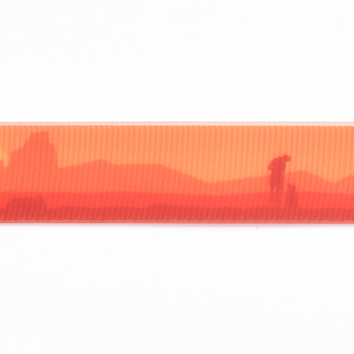 4Ft Waterproof & Odor-Free Dog Leash - Easy to Clean Pet Leash with Heavy Duty Swivel Clasp for Small, Medium & Large Dogs (Small, Orange) - Perfect for Walking, Training & Outdoor Adventures