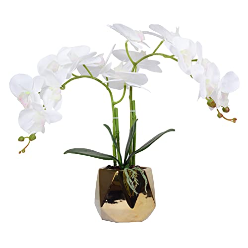 White-gold 02
