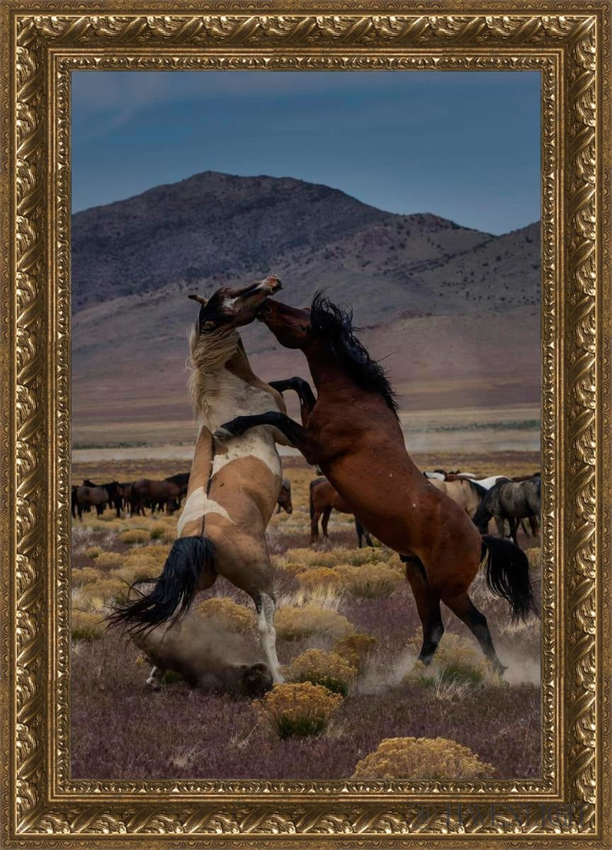 Desert Duel 1 by Greg Sargent - Western Adventure Novel for Adults | Perfect for Book Clubs, Gifts & Western Fiction Fans