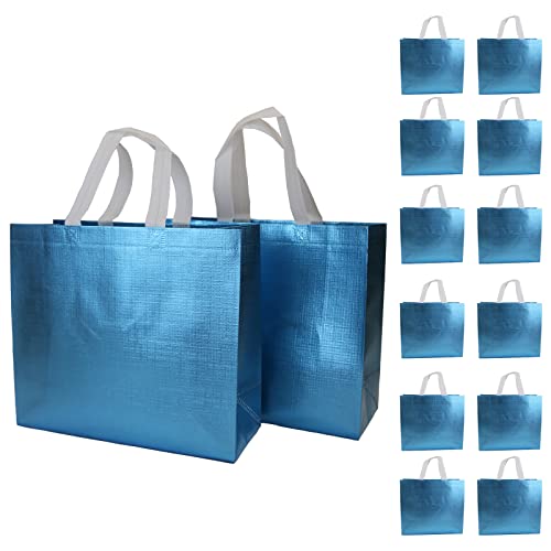 12 Pcs Blue