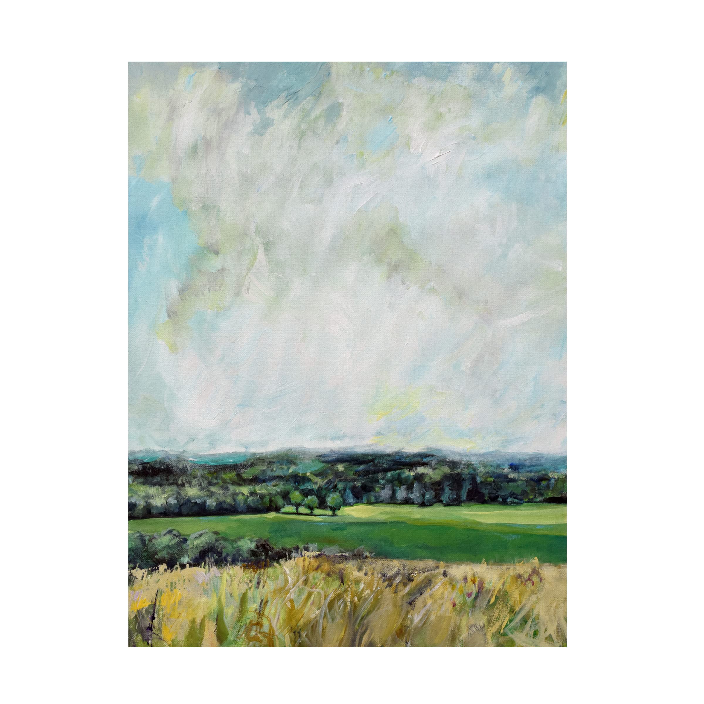 Trademark Fine Art 'Mount Jeez Overlook I' Canvas Wall Art Print by Evelia Designs - Perfect for Living Room, Bedroom & Office Decor