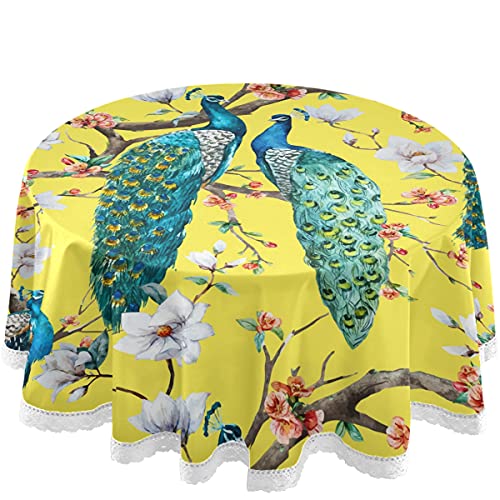 Peacock 18