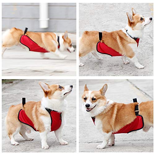 Waterproof Dog Belly Vest - Warm Pet Apron Cover Protector for Small Dogs, Puppies & Corgis - Ideal for Cold Weather, Indoor/Outdoor Use & Post-Surgery Protection