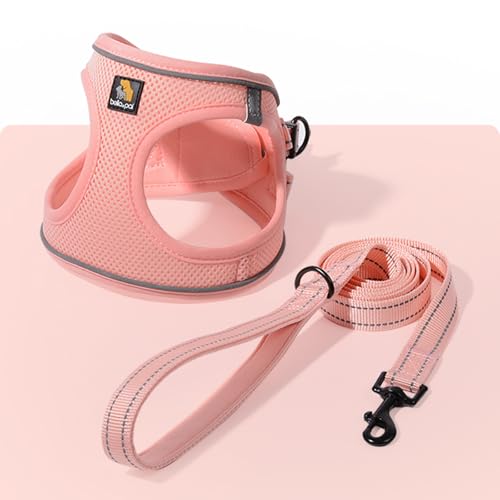 Coral Pink