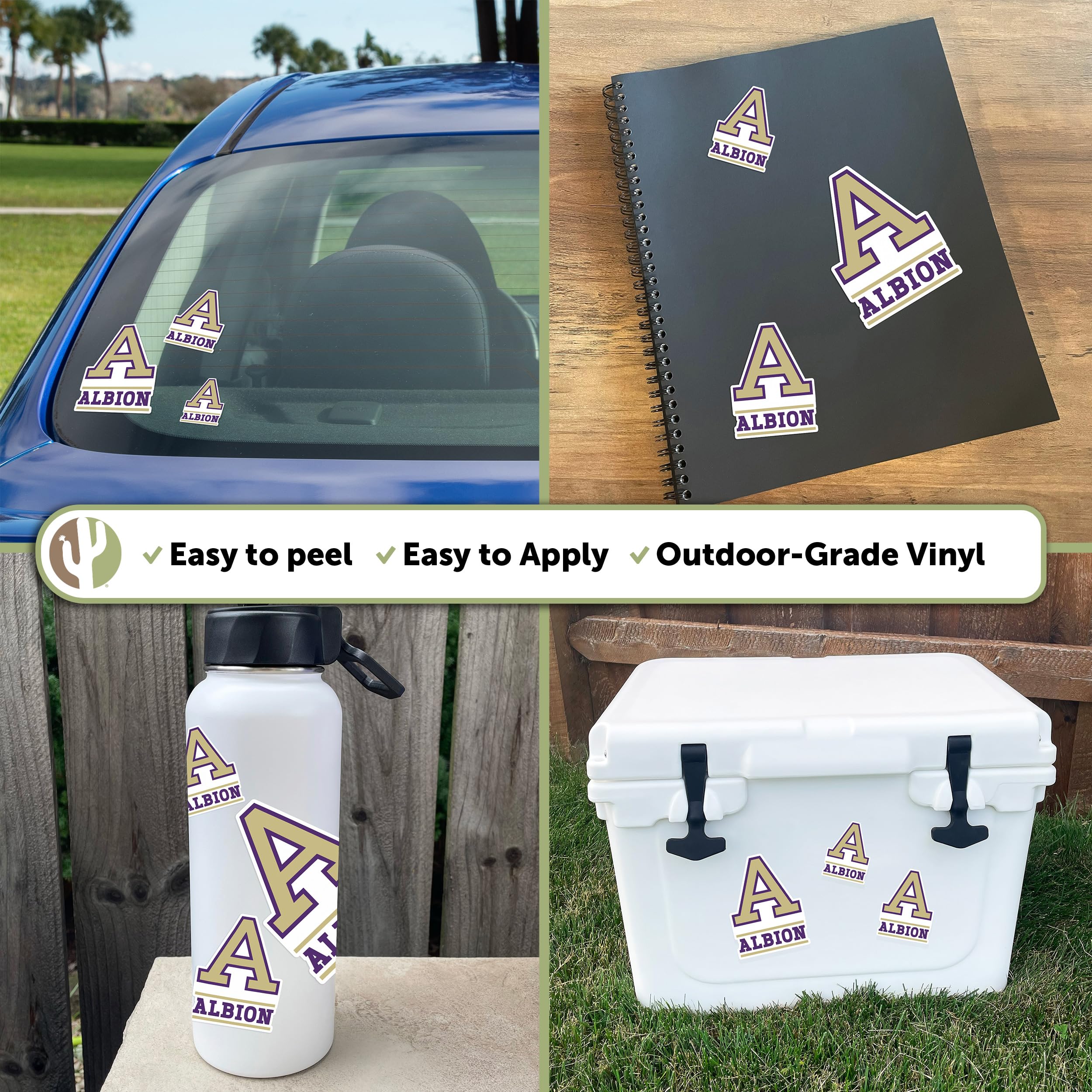Albion College Britons Desert Cactus Vinyl Decals - Waterproof Stickers for Laptop, Water Bottle, Car & Scrapbook - Perfect for School Spirit, College Dorm Decor & DIY Crafts