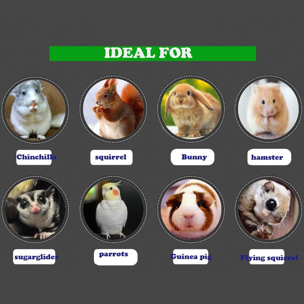 QBLEEV 3 Pack Natural Wood Chew Toys for Hamsters, Chinchillas, Guinea Pigs, Rats, Squirrels & Rabbits - Small Animal Teeth Care & Cage Accessories - Safe Wooden Chew Sticks & Perch Platform for Birds, Parrots & Bunnies - Perfect for Cage Enrichment & Dental Health