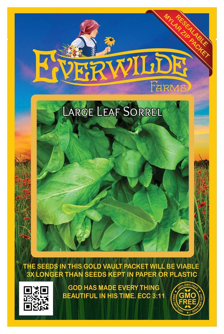 Everwilde Farms - 1000 Large Leaf Sorrel Herb Seeds - Non-GMO, Heirloom, Organic - Gold Vault Jumbo Seed Packet for Gardening, Cooking & Herbal Remedies