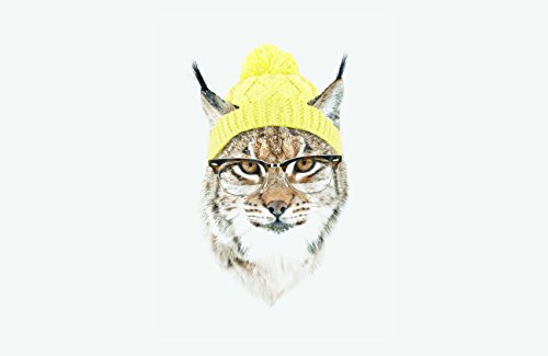 Hipster Lynx