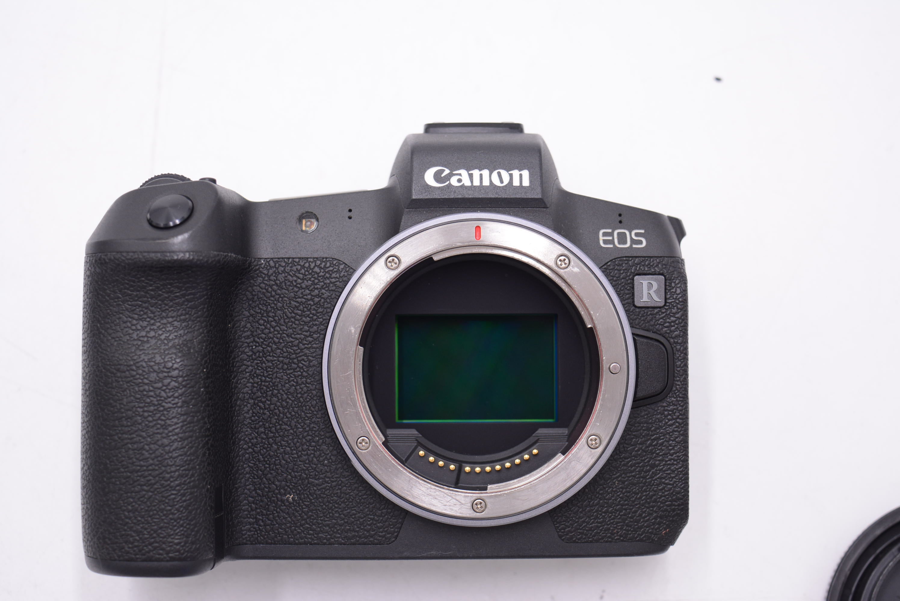Canon EOS R Mirrorless Camera Bundle with Cage & EF Lens Adapter - Professional Full Frame Digital Camera for Photography & Videography - Perfect for Travel, Vlogging, and Studio Shooting