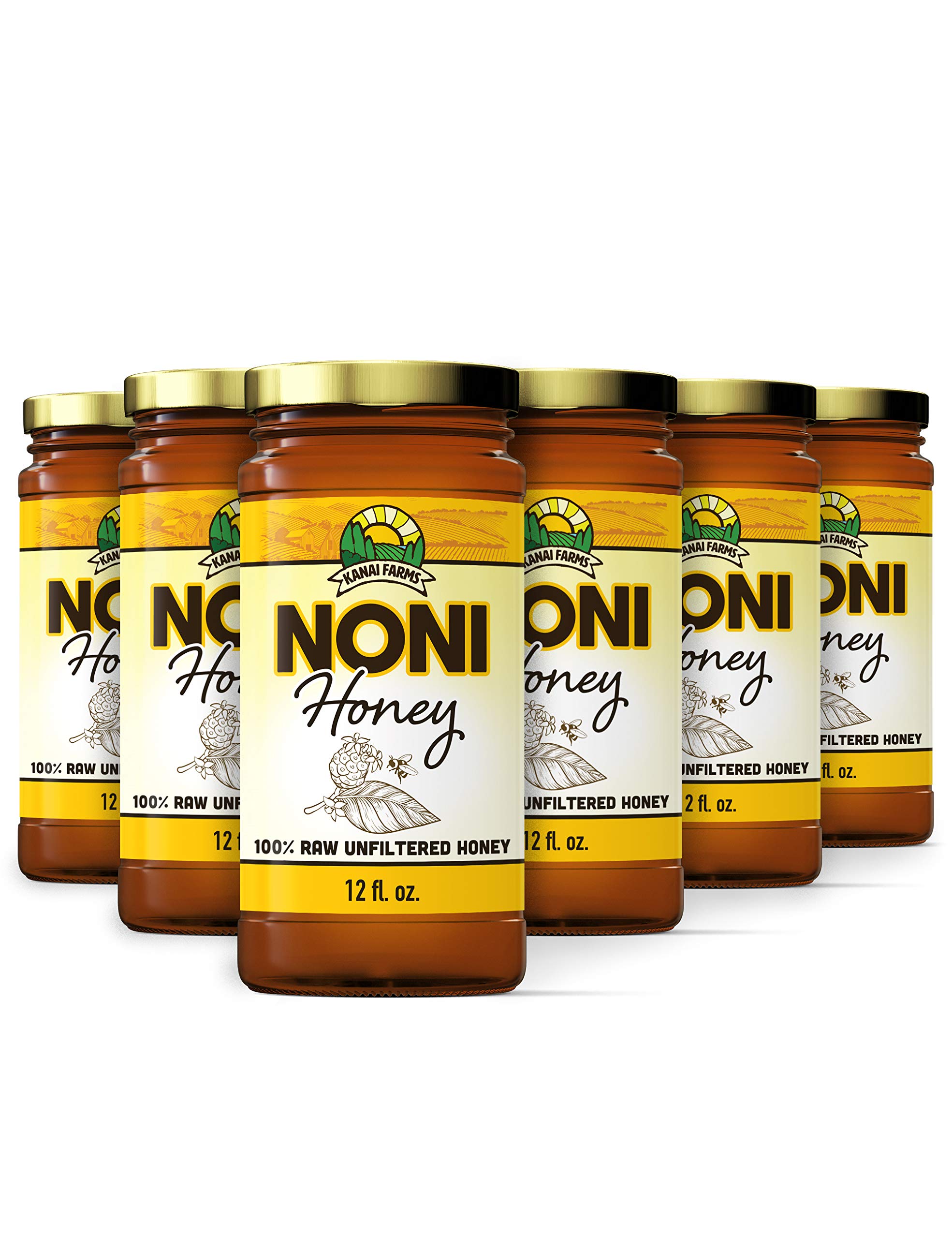 100% Pure Raw Unfiltered Noni Honey - 6 Pack of 12oz Glass Bottles - Natural Immune Support & Wellness Booster for Daily Health, Smoothies & Tea