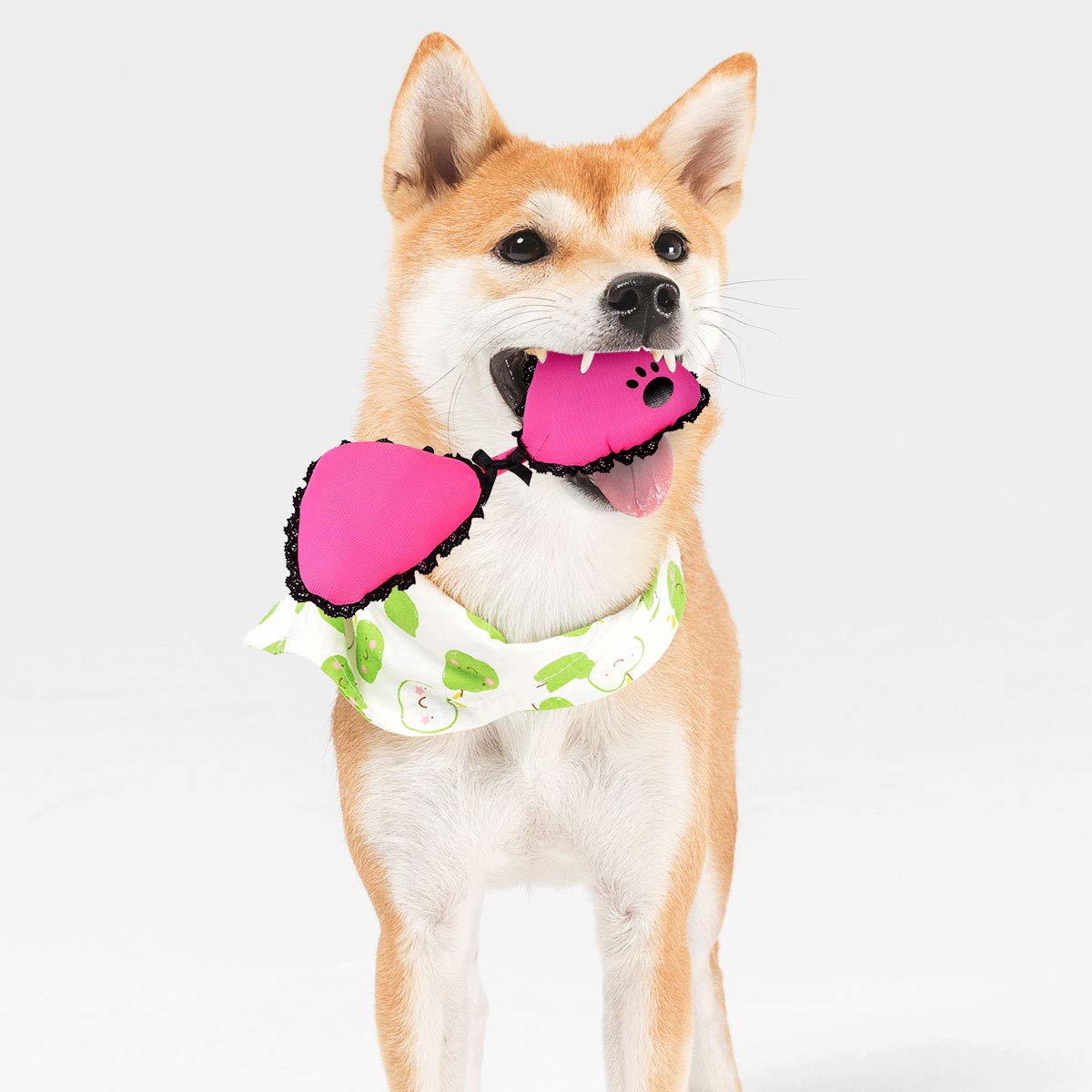 2pcs Dog Bikini Plush Toy with Squeaker & Crinkle Sound - Interactive Pet Chew Toy for Puppy Teething, Training & Play - Fun Dog & Cat Toys for Indoor/Outdoor Playtime & Bonding