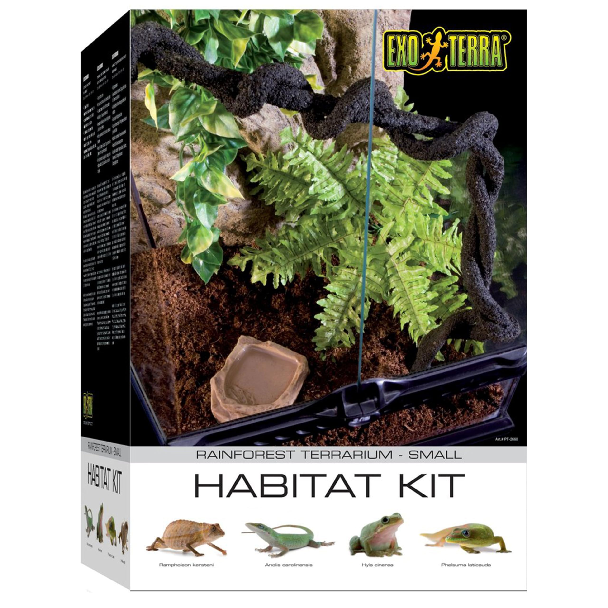 Exo Terra Rainforest Habitat Kit for Reptiles - Small Glass Terrarium with PT2602 for Geckos, Frogs & Snakes - Ideal for Tropical Pet Enclosures & Natural Habitat Simulation
