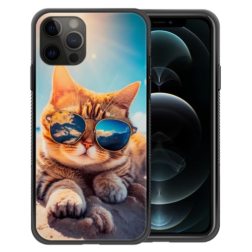 Sunshine Beach Cat