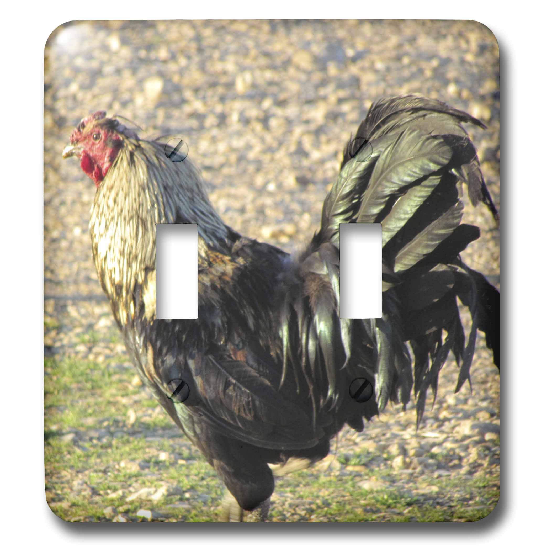 3dRose Green Tailed Rooster Double Toggle Switch - Multicolor Decorative Wall Plate for Home & Office Decor