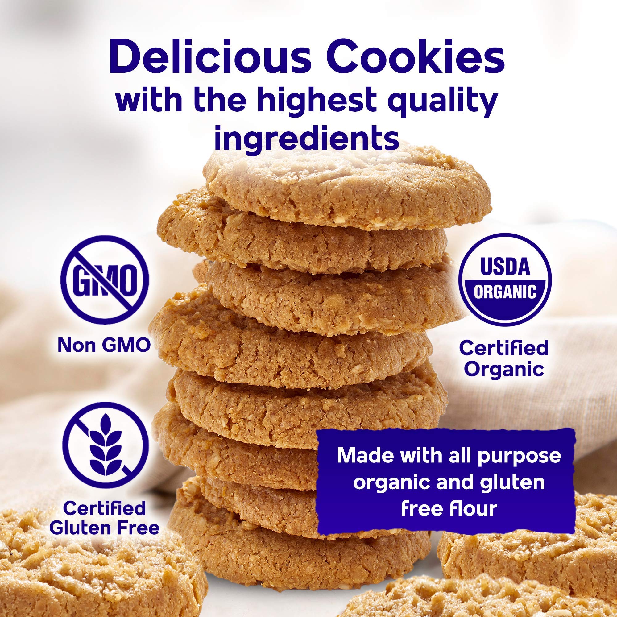 Steve & Andy’s Organic Gluten-Free Vegan Coconut Oatmeal Cookies - Non-GMO, Healthy Snack, Crispy Texture - Perfect for Breakfast, Office Snacks & Travel (Single Box)