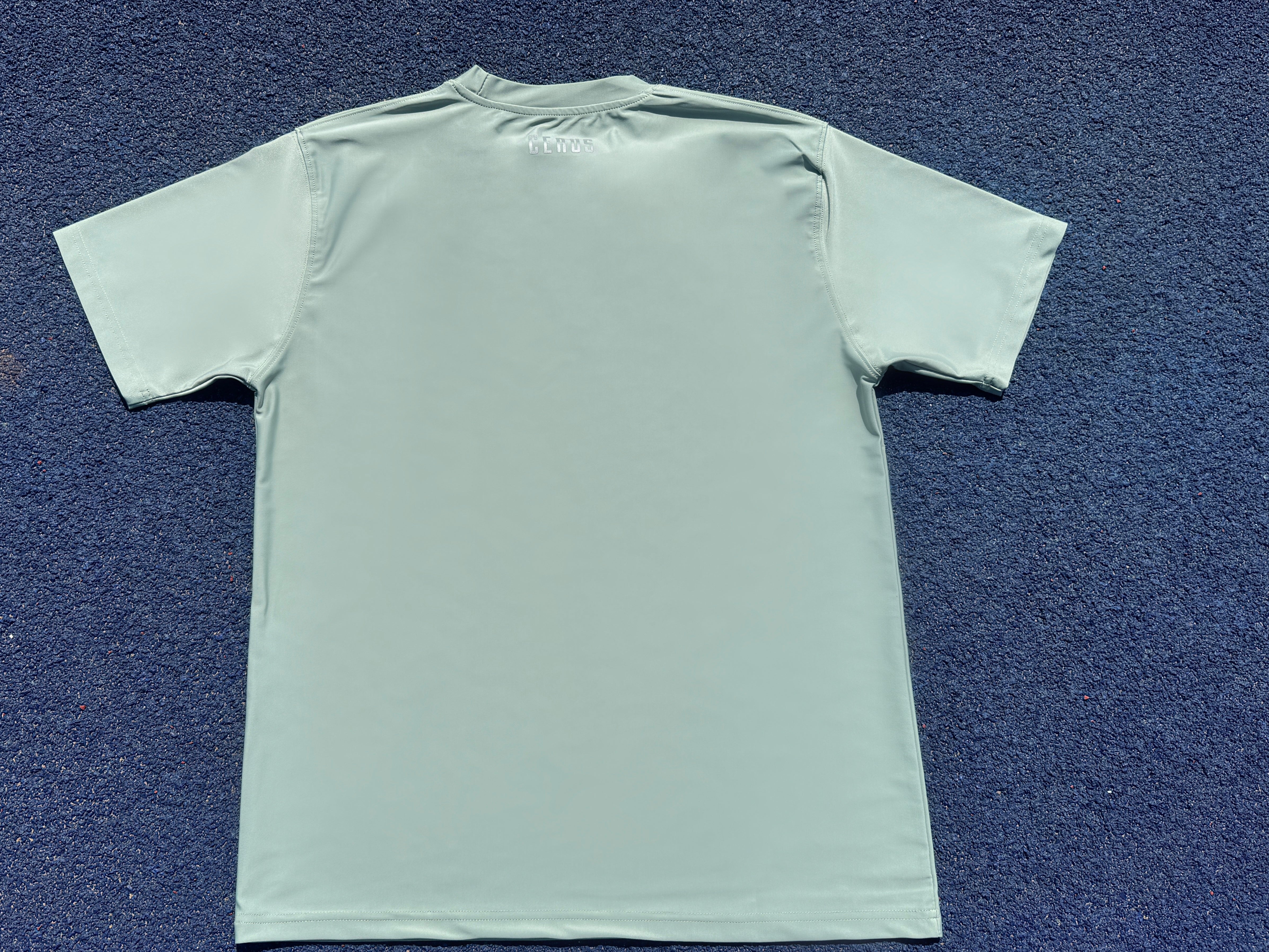 Cerus Mint Titan Men's T-Shirt - Premium Cotton Comfort Fit Tee for Casual Wear & Gym Workouts